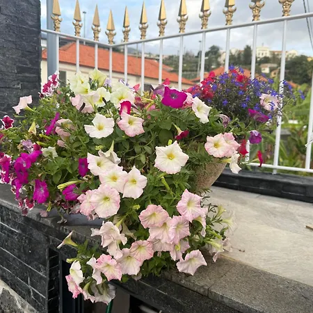 Camacho By Homie Appartement Funchal (Madeira)