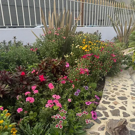 Camacho By Homie * Funchal (Madeira)