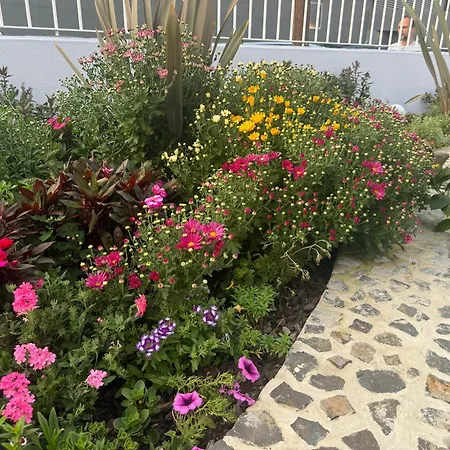 Camacho By Homie Appartement *