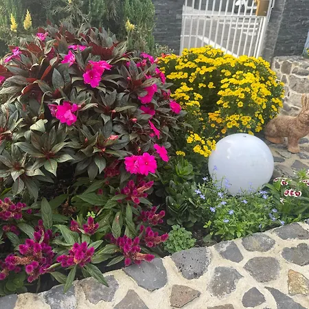 Camacho By Homie Funchal (Madeira)