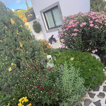 Camacho By Homie * Funchal (Madeira)