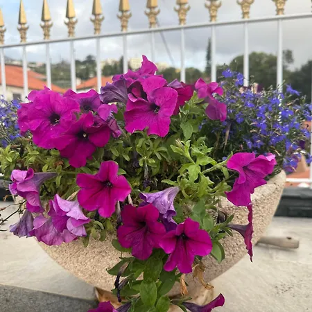 Apartman Camacho By Homie