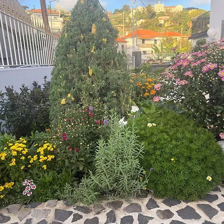 Camacho By Homie Apartman *